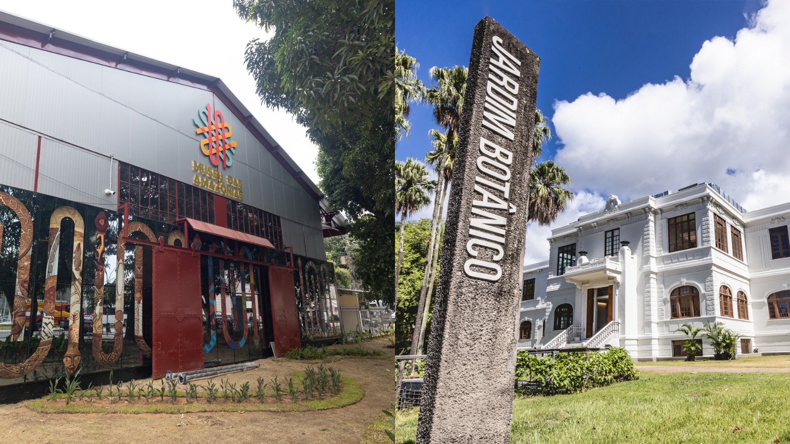 Museu das Amazônias e Museu do Jardim Botânico debatem redução das chuvas na floresta amazônica - 