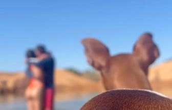 Doguinho rouba a cena e 'estraga' momento romântico de casal; assista