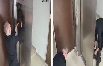 Músico realiza salvamento emocionante de cachorro preso em elevador