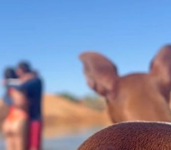 Imagem - Doguinho rouba a cena e 'estraga' momento romântico de casal; assista