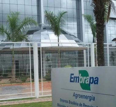Imagem - Embrapa leva vitrine de tecnologias e soluções sustentáveis para COP30