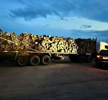Imagem - PRF apreende 162 m³ de madeira durante fiscalizações na BR-155, no Pará