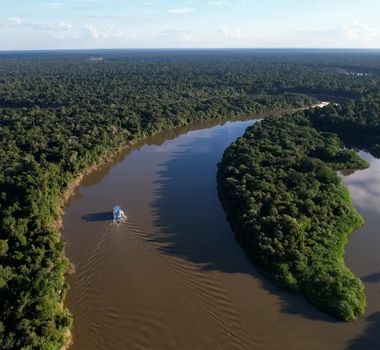 Imagem - Fazendas ilegais de gado devastam áreas protegidas na Amazônia