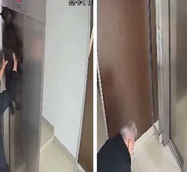 Imagem - Músico realiza salvamento emocionante de cachorro preso em elevador