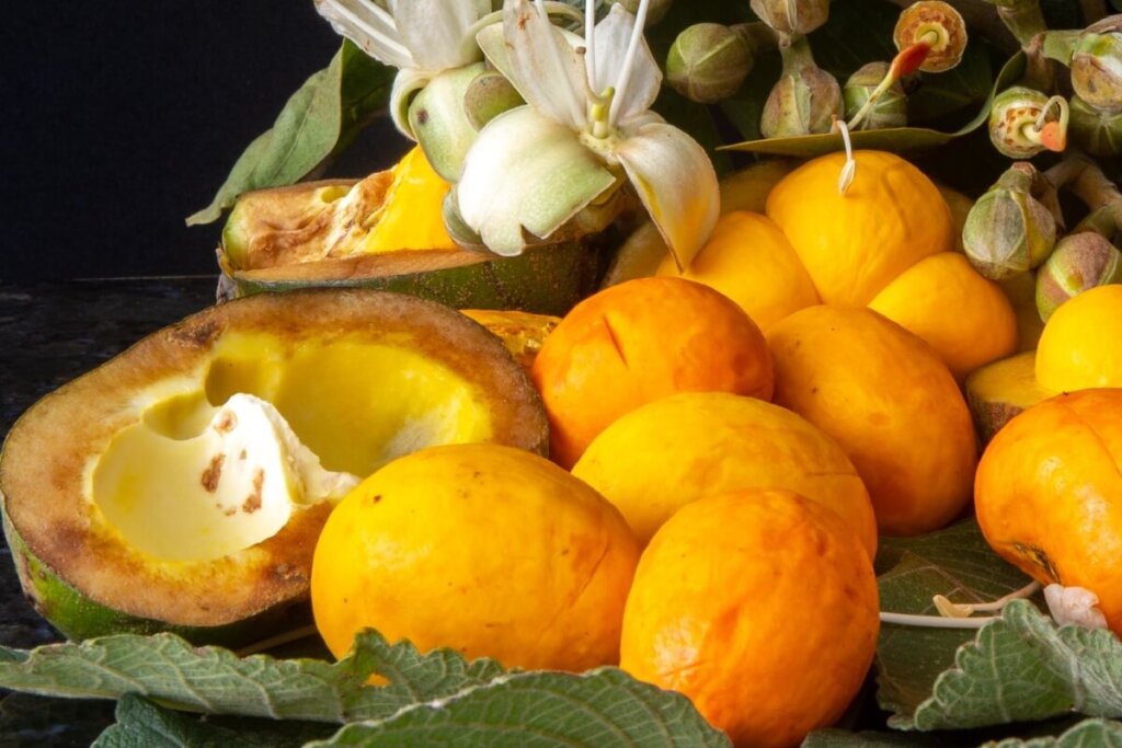 O pequi é rico em antioxidantes (Imagem: Adilson Sochodolak | Shutterstock)