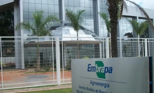 Empresa Brasileira de Pesquisa Agropecuária (Embrapa).