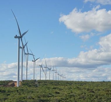 Imagem - Transição energética e ecossistemas são essenciais para limitar o aquecimento global