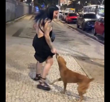 Imagem - Cachorro caramelo viraliza puxando vestido de mulher em Belém