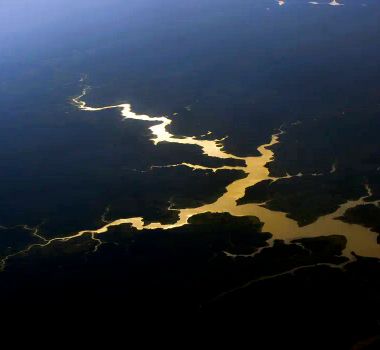 Imagem - Captura de carbono na Amazônia está em risco, diz estudo