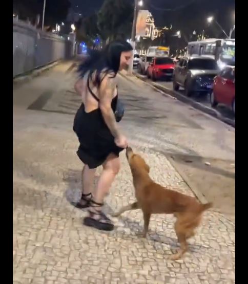 Imagem - Cachorro caramelo viraliza puxando vestido de mulher em Belém