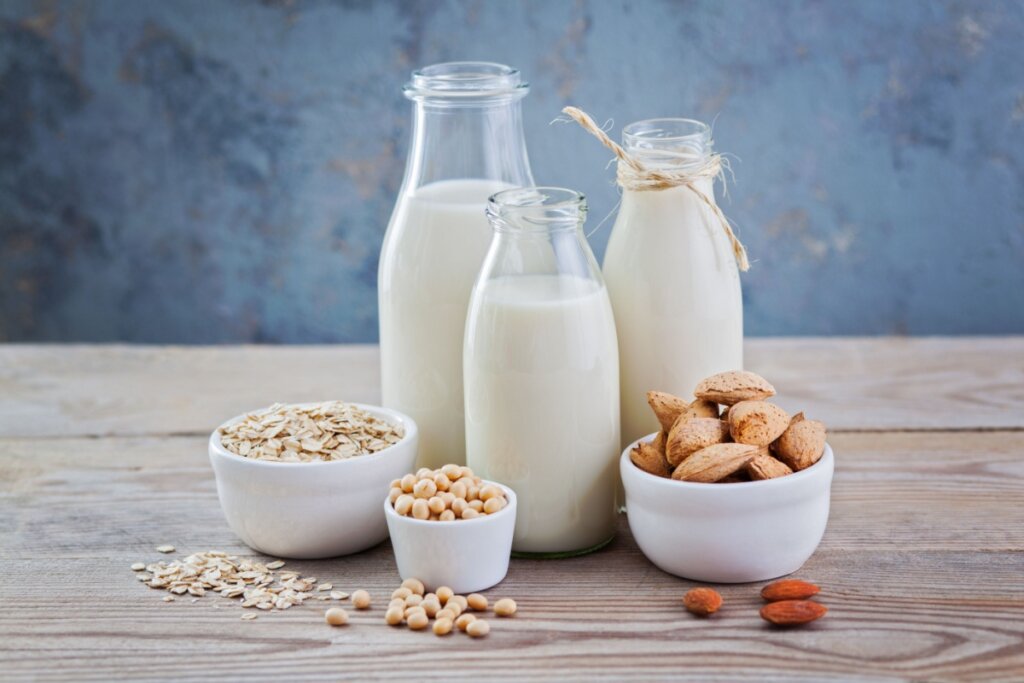 Os leites vegetais são boas alternativas para veganos e pessoas intolerantes à lactose (Imagem: matka_Wariatka | Shutterstock)