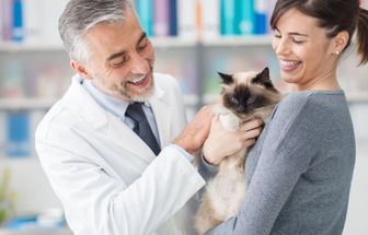 Veja como a castração ajuda a prevenir o câncer de mama em gatas