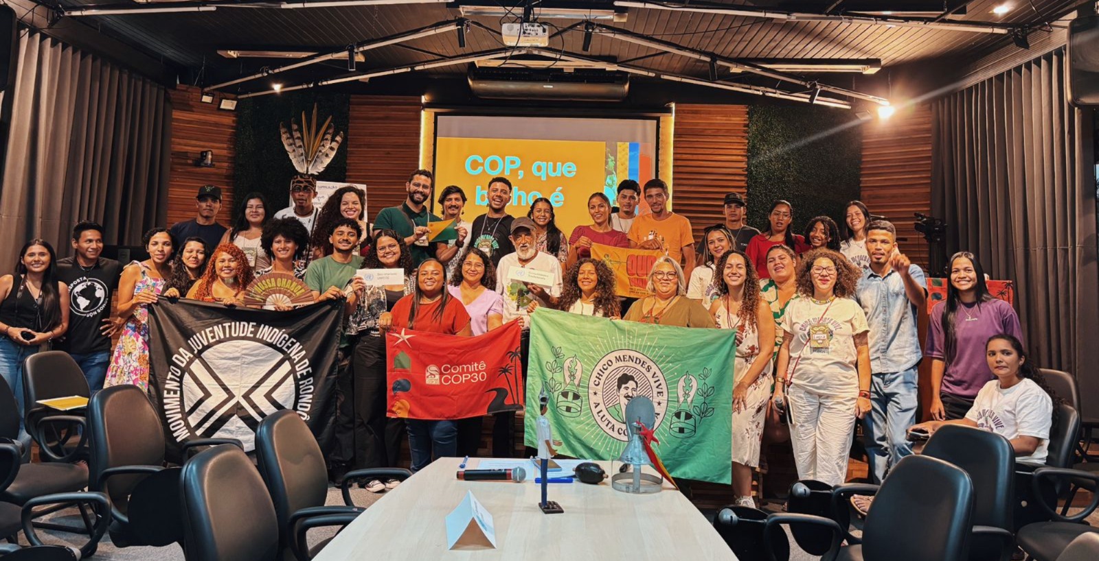 Comitê COP30 -