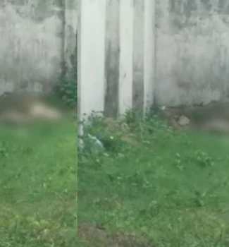 Imagem - Corpo é encontrado em decomposição na Cremação, em Belém