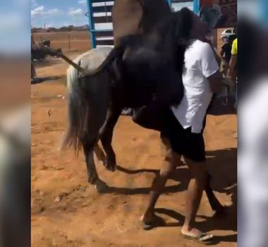 Imagem - Influenciador leva coice de boi durante vaquejada