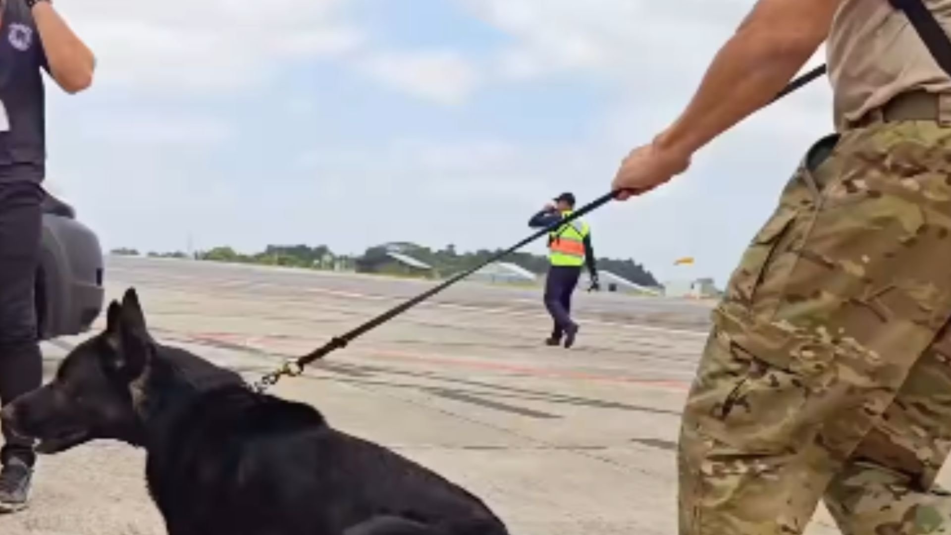 Cães chegam para reforçar a segurança durante a Cop30