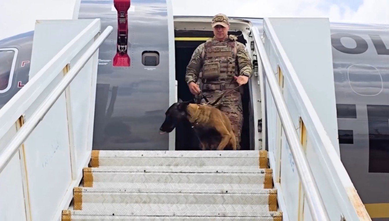 Cães de faro desembarcaram em Belém para a COP30.