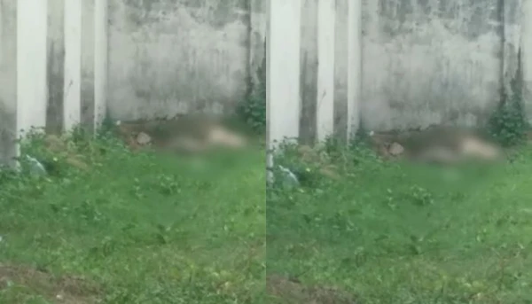 Corpo é encontrado em decomposição na Cremação, em Belém