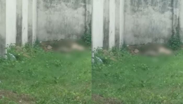 Imagem - Corpo é encontrado em decomposição na Cremação, em Belém