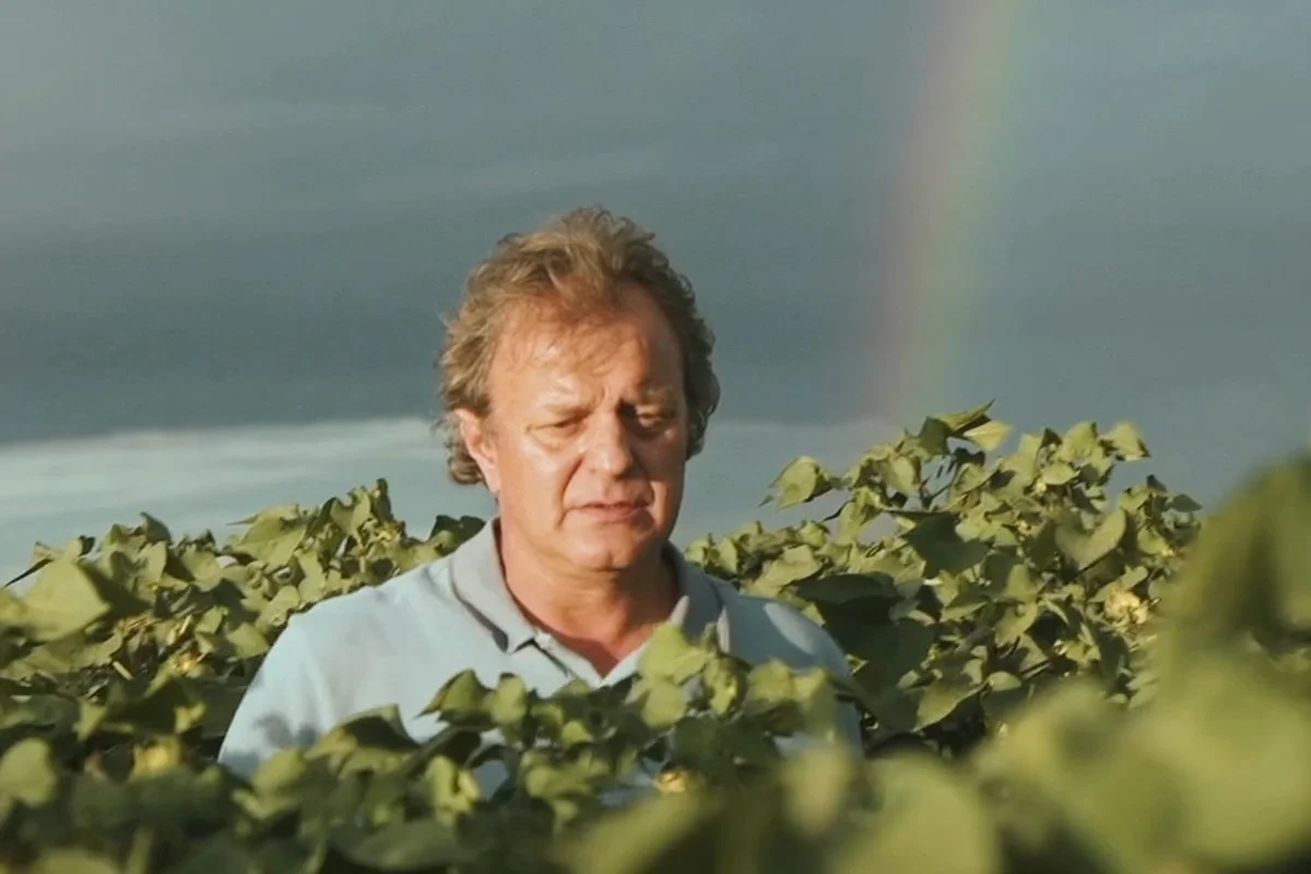 Imagem - Empresário do agronegócio é acusado de financiar decisão judicial com propina milionária