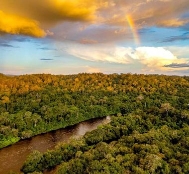 Imagem - Na COP30, Freezone receberá exposição com fotografias sobre preservação ambiental