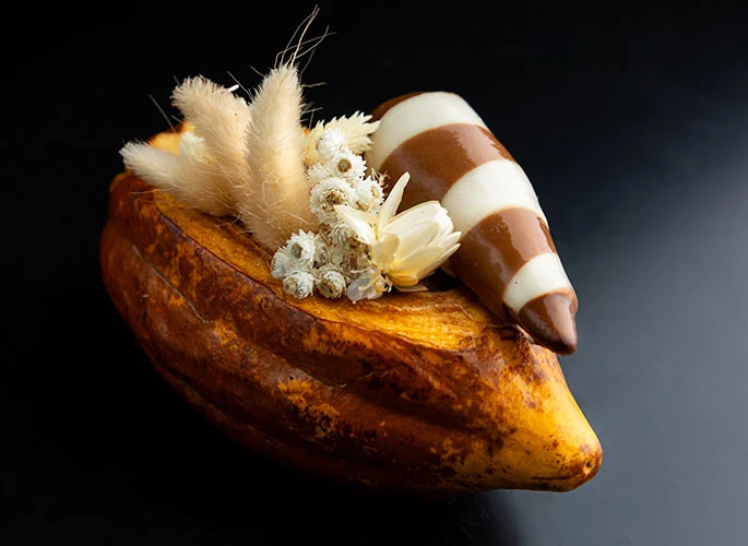 Imagem - Produção de cacau do Pará ganha destaque no Salão do Chocolate de Paris