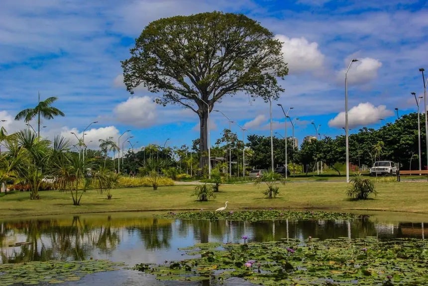 Parque Estadual do Utinga.