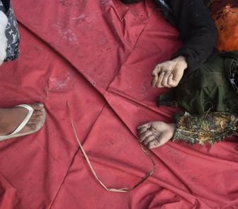 Imagem - Corpos encontrados em mata do RJ tinham roupas camufladas