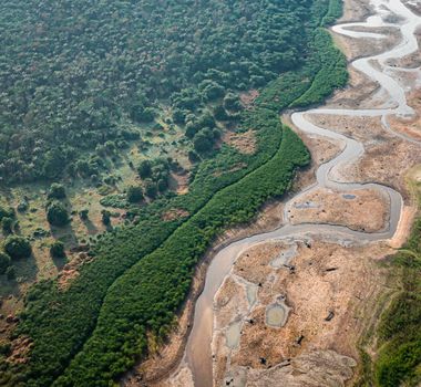 Imagem - Relatório destaca avanço da transição climática e aceleração da cooperação global