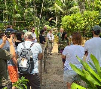 Imagem - Vitrine de Bioeconomia conecta o público à força criativa da Amazônia