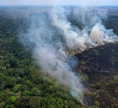 Imagem - ONU lança nova campanha para combater a desinformação climática