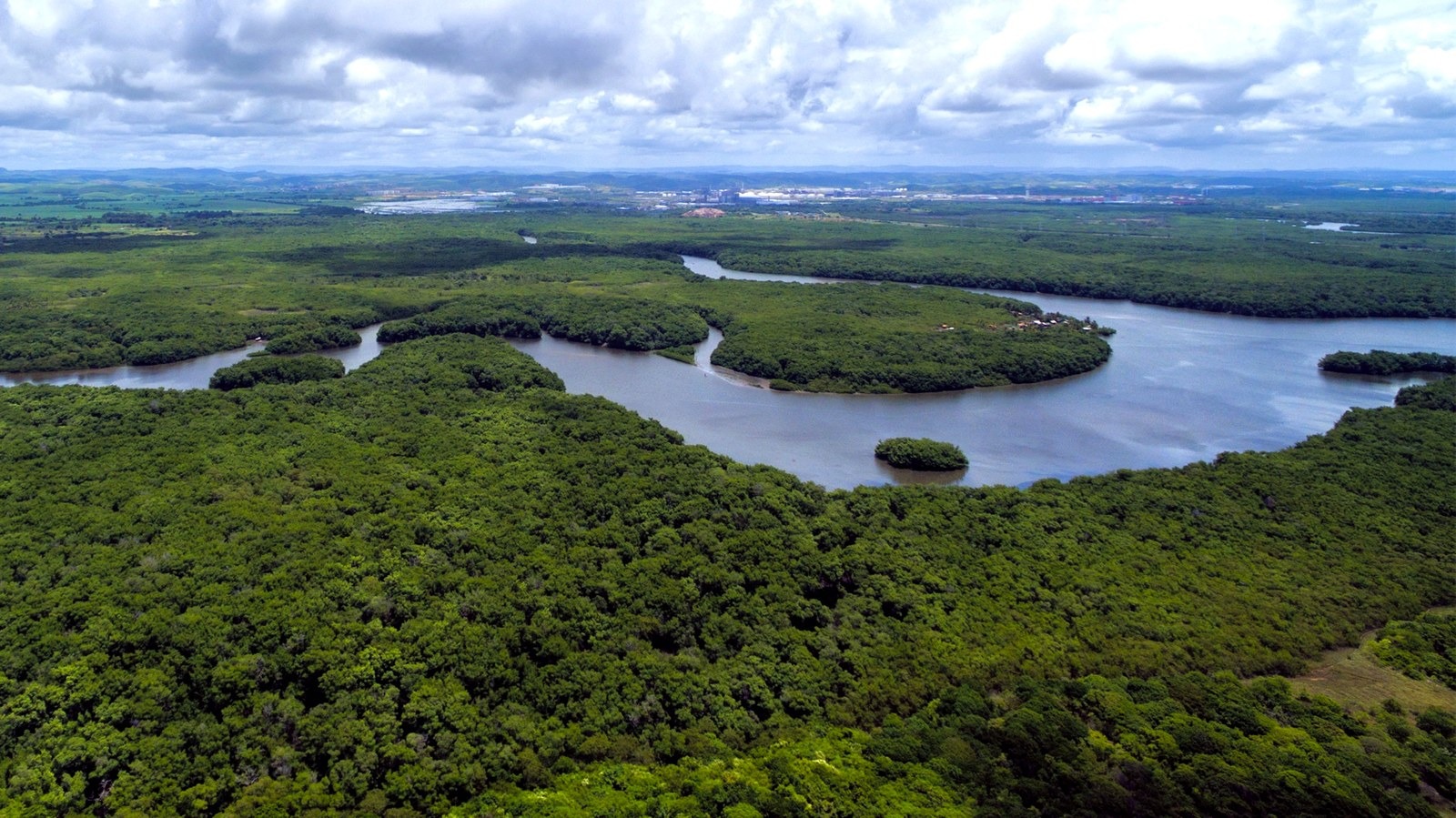 Imagem - Investimentos em florestas tem recorde histórico após reativação do Fundo Amazônia