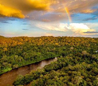 Imagem - Pará tem maior redução de desmatamento da Amazônia Legal em 2025