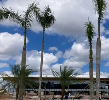 Imagem - Veja previsão do tempo para esta semana, em Belém, quando acontece a Cúpula de líderes