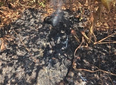 Suspeitos de matarem e incendiarem corpo de fazendeiro no Mato Grosso são presos no Pará