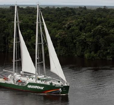 Imagem - Navio símbolo do Greenpeace vem a Belém para exigir a transição justa e o fim do desmatamento global