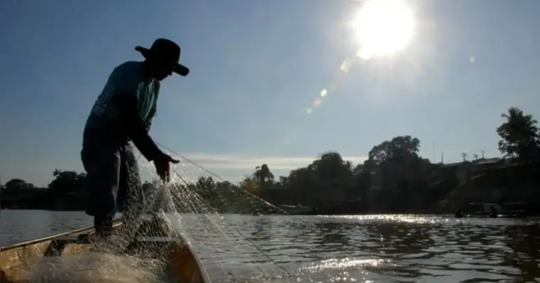 O programa de Seguro-Defeso é para o Pescador Artesanal. 