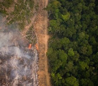 Imagem - Estudo alerta para pouca ambição das metas de redução de desmatamento estaduais na Amazônia