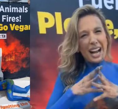 Imagem - Luisa Mell protesta na COP30 e pede 'acordar' ao mundo contra a destruição da Amazônia