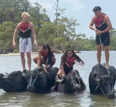 Imagem - Influenciadora viraliza com passeio de búfalo 'diferentão' no Marajó