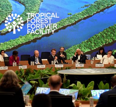 Imagem - Veja quem já contribuiu e o valor arrecadado pelo Fundo Floresta Tropical para Sempre