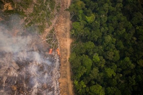 Governos estaduais precisam aumentar a ambição de suas metas de redução de desmatamento na Amazônia.