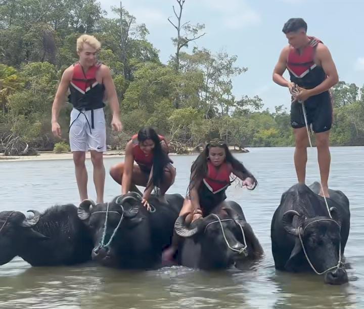 Imagem - Influenciadora viraliza com passeio de búfalo 'diferentão' no Marajó