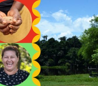 Imagem - ONU Mulheres pede avanços em igualdade de gênero e ação climática durante a COP 30