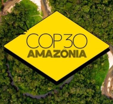 Imagem - Pesquisa revela invisibilidade racial na governança climática e apresenta recomendações na COP30