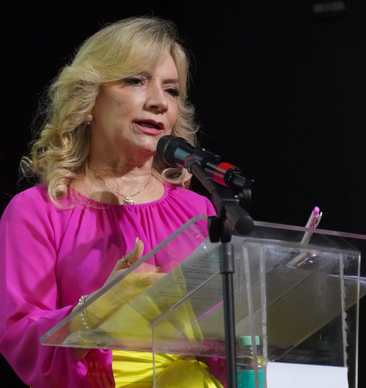 Em São Paulo, a professora Nilse Pinheiro lança o livro “A Chave do Sucesso”