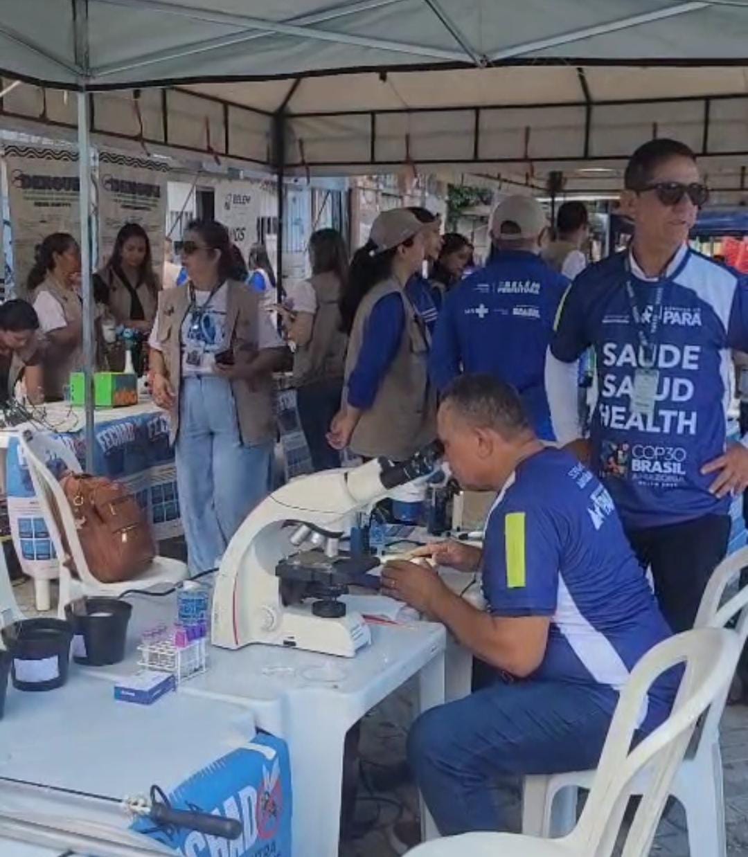 Imagem - Atenção Pará: Dia D nacional contra a dengue, Zika e chikungunya acontece neste sábado (8)