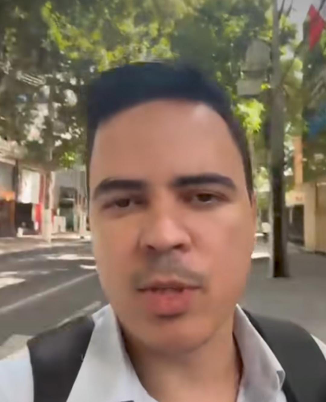 Imagem - Mangueiras centenárias chamam atenção de turistas e jornalistas que vieram cobrir a COP30