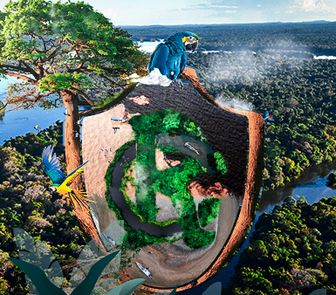 Imagem - Inspirado pela COP30, Remo amplia ações em defesa da Amazônia