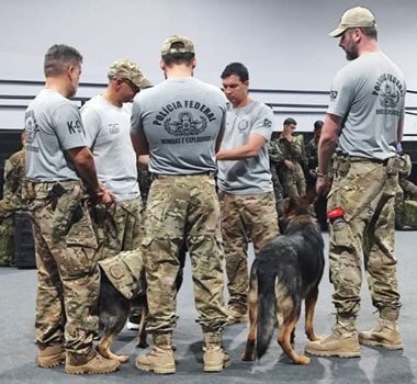 Imagem - PF participa de varredura técnica na Blue Zone da COP30